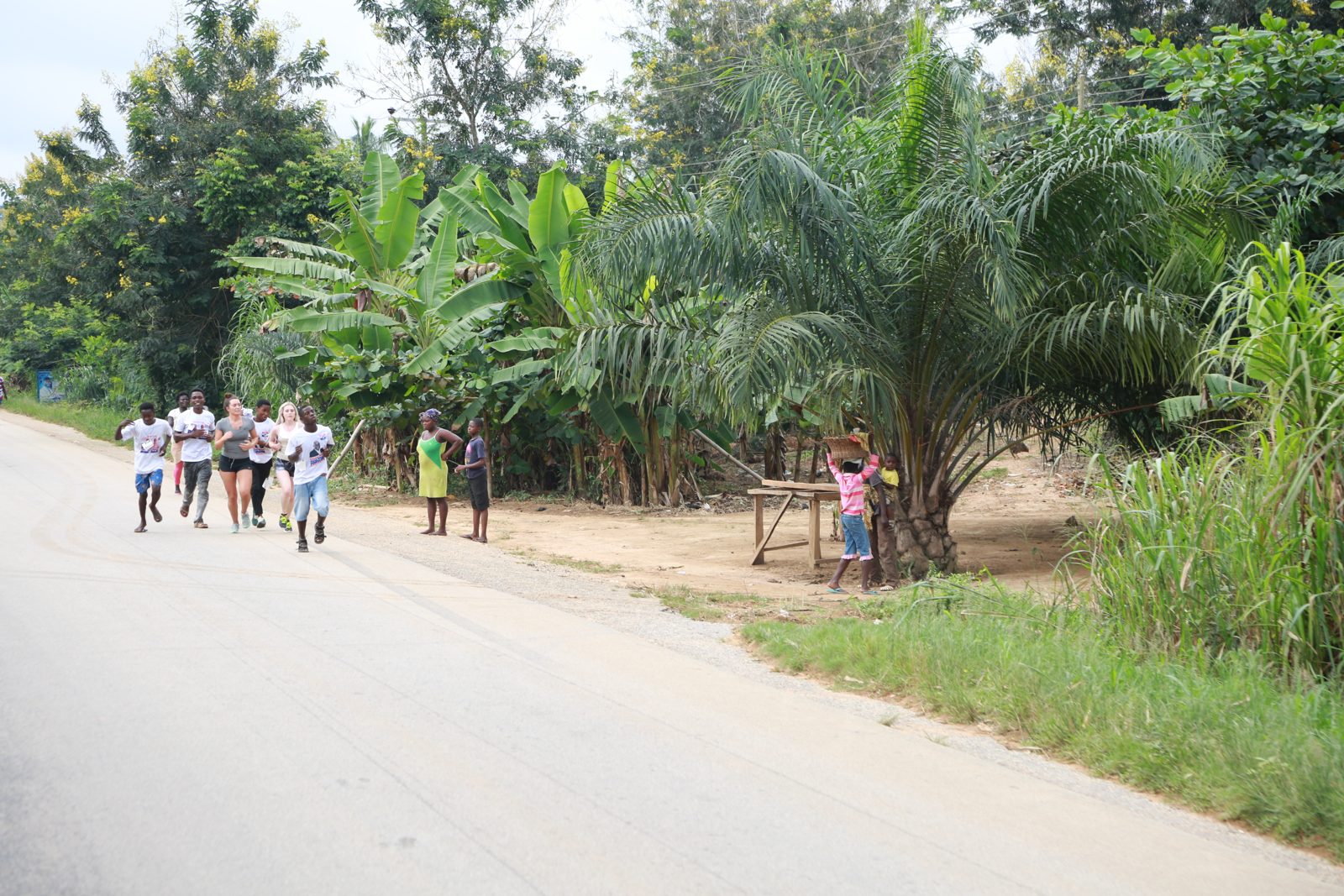 Runners passing palms and banana trees along the course